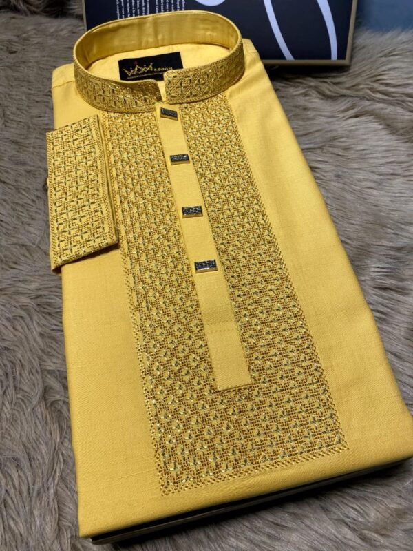 Luxury Panjabi